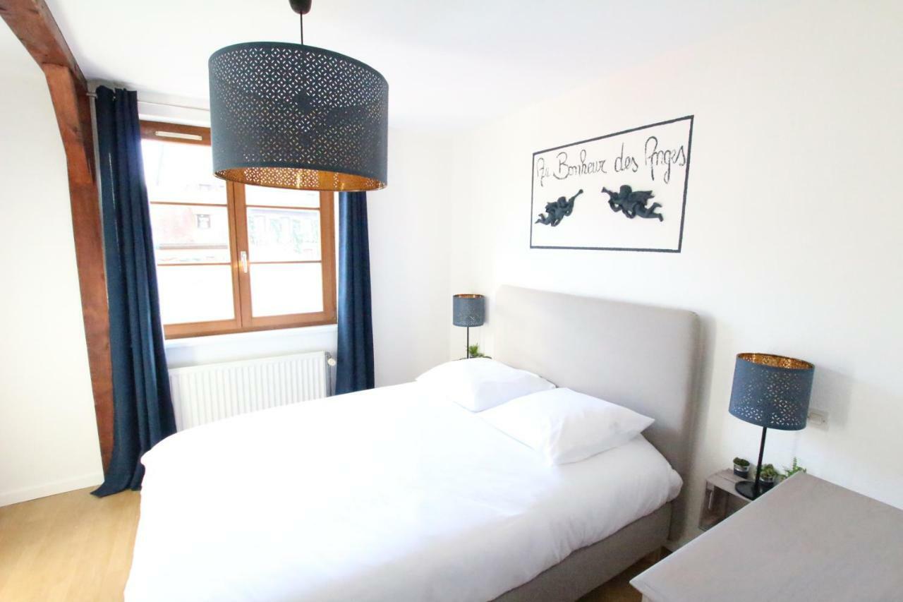 Au Bonheur Des Anges Appartement 2 Chambres Avec Terrasse Колмар Екстериор снимка